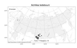 Achillea ledebourii Heimerl, Atlas of the Russian Flora (FLORUS) (Russia)