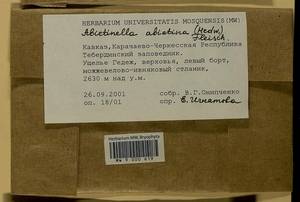 Abietinella abietina (Hedw.) M. Fleisch., Bryophytes, Bryophytes - North Caucasus & Ciscaucasia (B12) (Russia)
