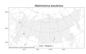 Abelmoschus esculentus (L.) Moench, Atlas of the Russian Flora (FLORUS) (Russia)